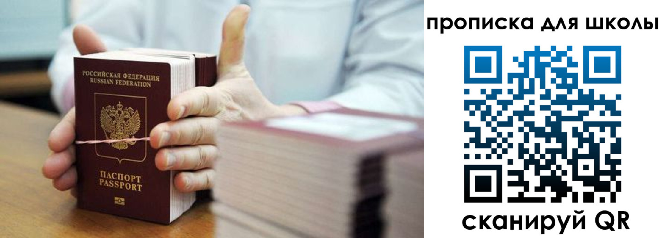 прописка гарантия в Братске