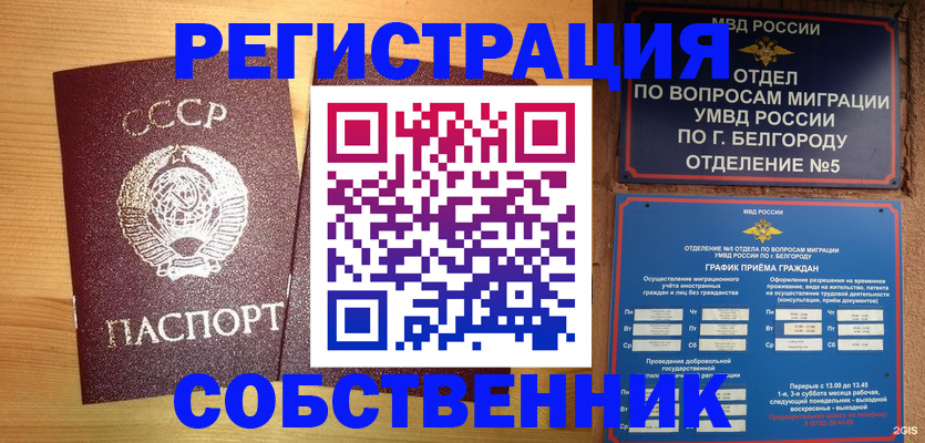 прописка 2025 в Братске